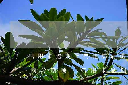 信用卡逾期上門走訪后還可以協(xié)商分期嗎-信用卡逾期上門走訪后還可以協(xié)商分期嗎怎么辦