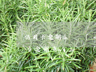 信用卡逾期上門農(nóng)村去嗎(信用卡逾期有人上門嚴(yán)重嗎?該怎么辦?)
