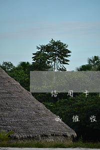 信用卡逾期上門送催收函(銀行發(fā)信函催收信用卡)