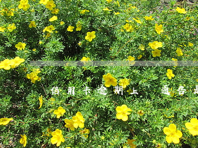信用卡逾期上門通告是不是真的