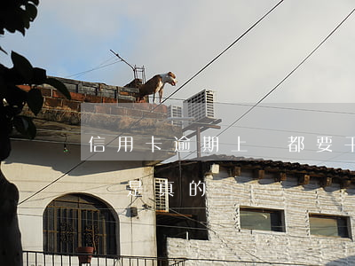 信用卡逾期上門都要干嘛(信用卡逾期說要上門是真的嗎)