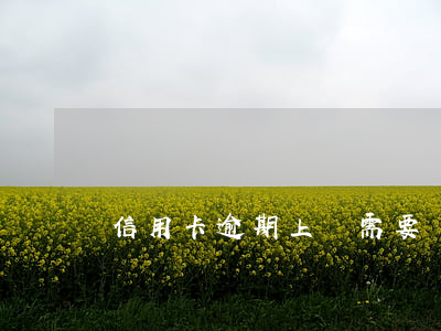 信用卡逾期上門需要寫承諾書嗎
