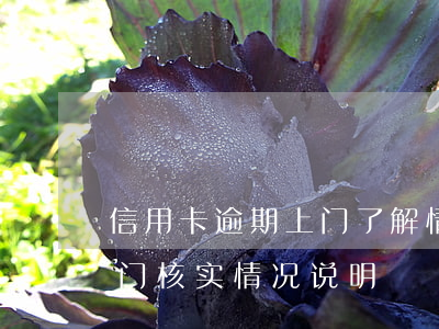 信用卡逾期上门了解情况(信用卡逾期银行上门核实情况说明)