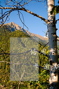 信用卡逾期上门取证用告诉他地址吗-信用卡逾期上门取证用告诉他地址吗安全吗