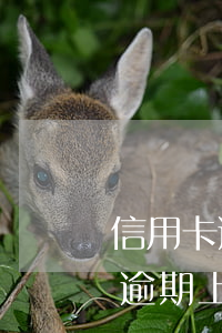 信用卡逾期上门核实会去户籍地吗-信用卡逾期上门核实会去户籍地吗知乎