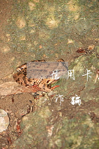 信用卡逾期上门诈骗(以信用卡逾期失信为由诈骗)