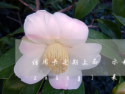 信用卡逾期上面顯示呆賬(信用卡逾期多長(zhǎng)變呆賬銀行如何處理)