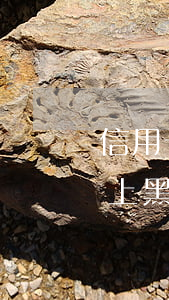 信用卡逾期上黑名单能坐高铁吗（信用卡逾期上黑名单能坐高铁）