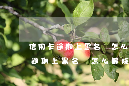 信用卡逾期上黑名單怎么解除征信-信用卡逾期上黑名單怎么解除征信記錄