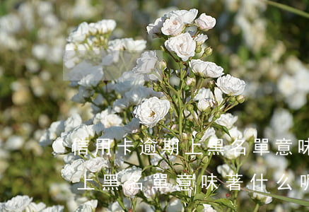 信用卡逾期上黑名單意味著什么(信用卡逾期上黑名單意味著什么呢)