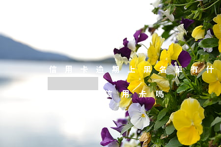 信用卡逾期上黑名單有什么后果-黑名單還可以用信用卡嗎