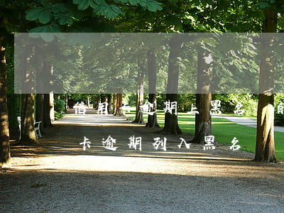 信用卡逾期上黑名單的后果(收到短信說信用卡逾期列入黑名單)