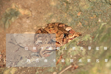 信用卡逾期上黑名單能辦信用卡嗎(朋友用我的信用卡逾期進黑名單了能告他嗎)