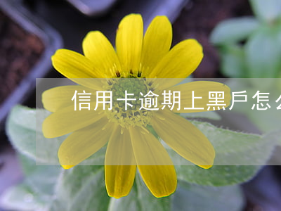 信用卡逾期上黑戶怎么解除(黑戶下信用卡了)