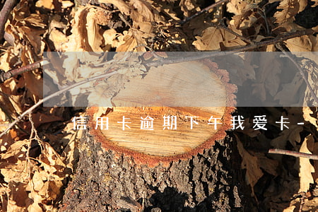 信用卡逾期下午我爱卡-信用卡 逾期一天