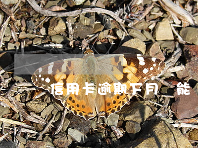 信用卡逾期下月還能還最低嗎