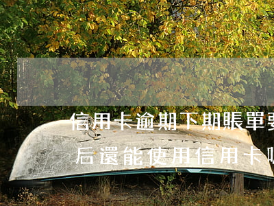 信用卡逾期下期賬單要一起還么-逾期還清后還能使用信用卡嗎