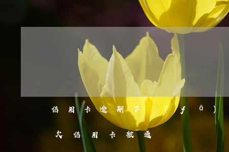 信用卡逾期下發(fā)通緝令是真的嗎-欠信用卡被通緝