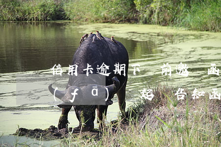 信用卡逾期下訴前邀請函(信用卡逾期銀行發(fā)來起訴告知函)