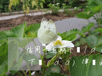 信用卡逾期下達(dá)律師函(信用卡逾期下達(dá)律師函)