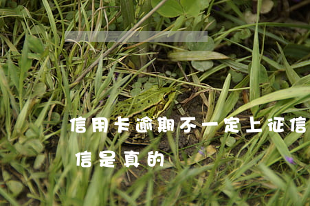 信用卡逾期不一定上征信(信用卡逾期不上征信是真的嗎)