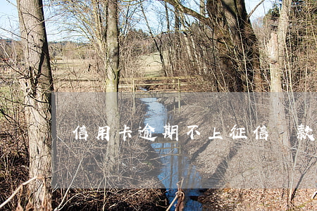 信用卡逾期不上征信還款違約金