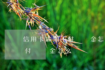 信用卡逾期不付滯納金怎么辦(信用卡逾期不付滯納金怎么辦)