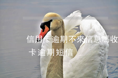 信用卡逾期不來信息嗎 收到不是自己的信用卡逾期短信