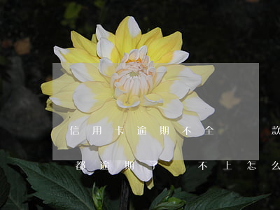 信用卡逾期不全額還款可以嗎(所有的信用卡都逾期了還不上,怎么辦)