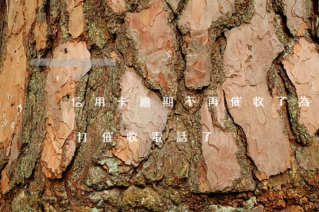 信用卡逾期不再催收了(為什么信用卡逾期不打催收電話了)