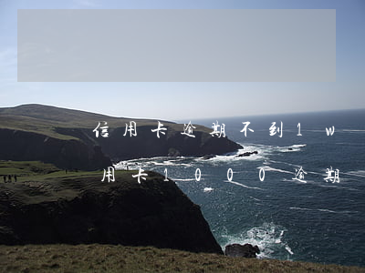 信用卡逾期不到1w會(huì)立案嗎(信用卡1000逾期)