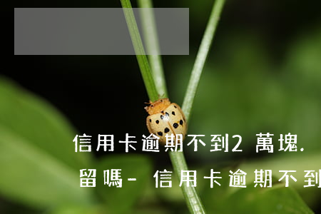 信用卡逾期不到2萬塊.會(huì)被拘留嗎?-信用卡逾期不到2萬塊.會(huì)被拘留嗎知乎