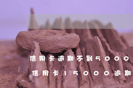 信用卡逾期不到5000被報(bào)警 信用卡15000逾期半年