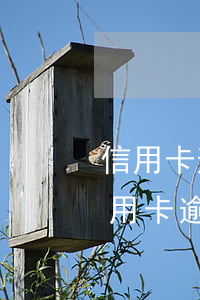 信用卡逾期不到一個(gè)月怎么辦-信用卡 逾期 一周