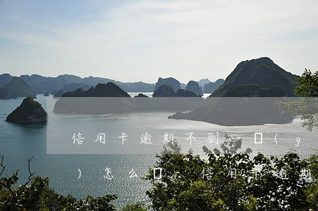 信用卡逾期不到一個(gè)月會(huì)怎么樣-信用卡逾期一個(gè)月補(bǔ)救