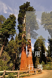 信用卡逾期不到一個(gè)月還最低都不行嗎-信用卡 逾期一個(gè)月