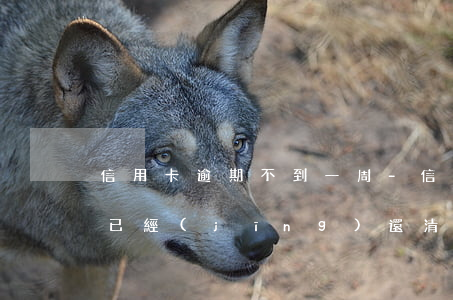 信用卡逾期不到一周-信用卡逾期不到一周 已經(jīng)還清最低還款額