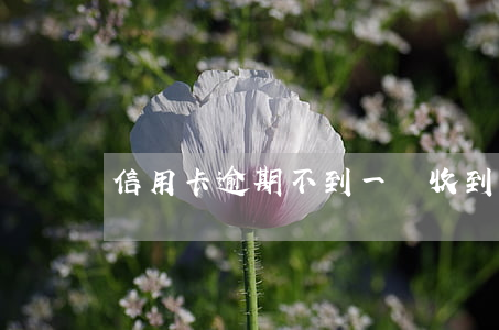 信用卡逾期不到一萬收到律師函