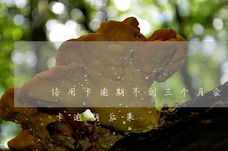 信用卡逾期不到三个月会起诉吗(三个月信用卡逾期后果)