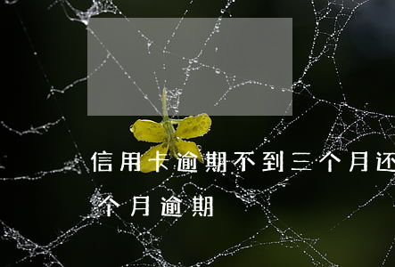 信用卡逾期不到三个月还能用吗-信用卡3个月逾期