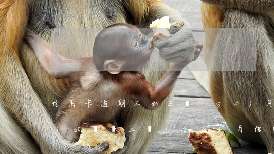 信用卡逾期不到三個(gè)月會(huì)起訴嗎(三個(gè)月信用卡逾期后果)