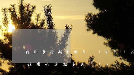 信用卡逾期不到三個(gè)月第三方催還(信用卡逾期多久會(huì)交給第三方催收)