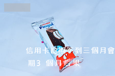 信用卡逾期不到三個月會不會起訴(信用卡逾期3個月后果)