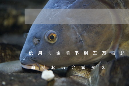 信用卡逾期不到五万被起诉 信用卡5万块钱逾期起诉会做多久