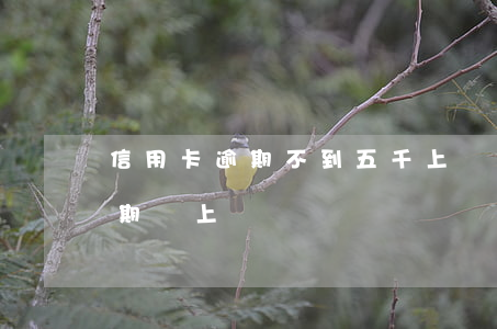 信用卡逾期不到五千上門催收(信用卡5千逾期會上門嗎)