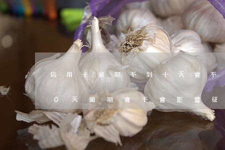 信用卡逾期不到十天會不會上征信(信用卡10天逾期會不會影響征信)