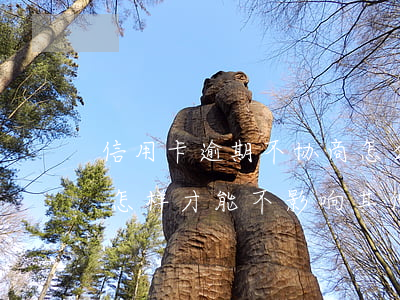 信用卡逾期不协商怎么处理(他行逾期已协商怎样才能不影响其他信用卡)