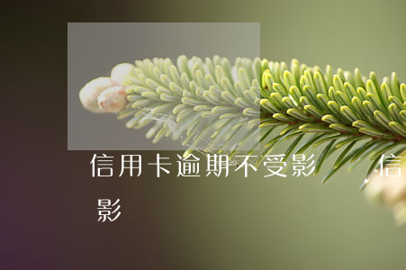信用卡逾期不受影響嗎(信用卡逾期有啥后果影響)