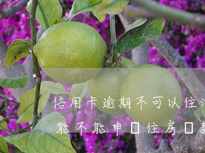 信用卡逾期不可以住酒店嗎(信用卡有過逾期 能不能申請住房貸款)