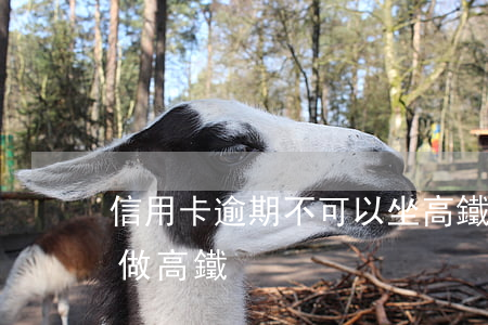信用卡逾期不可以坐高鐵嗎(欠信用卡能不能做高鐵)